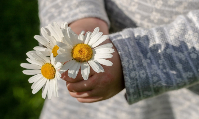 Blumen zum Muttertag