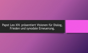 Papst Leo XIV. gibt erste Einblicke in sein &quot;Programm&quot;