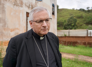 Missionsbischof im &quot;Kathpress&quot;-Interview: &quot;Papst will anregen weiter zu denken&quot; - &quot;Gespannt auf Rezeption des Schreibens in Ortskirchen in Amazonien&quot; 