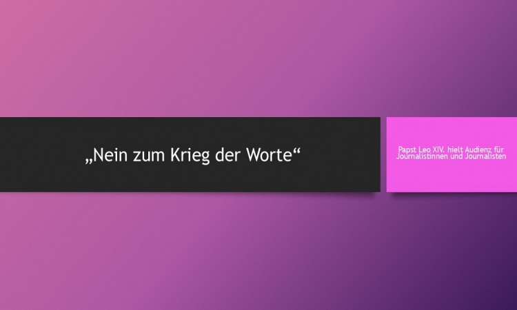 &quot;Nein zum Krieg der Worte&quot; – Papst Leo XIV. würdigt Journalisten bei erster Audienz
