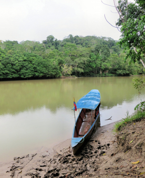 Amazonien Rio-Napo